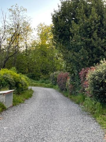 Appartamento Il Picchio Verde Altopascio Kültér fotó